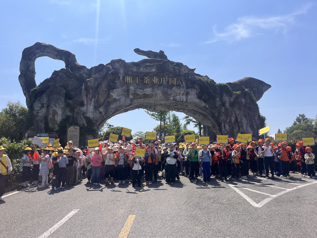 采茶活动